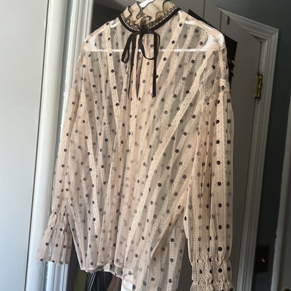 Zara - Picture 2 of 2